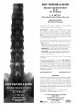 BWW Brisbane 2011 eflyer v2